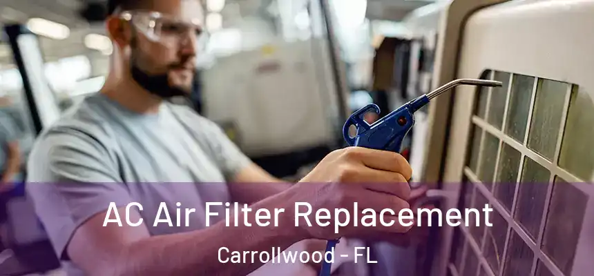 AC Air Filter Replacement Carrollwood - FL