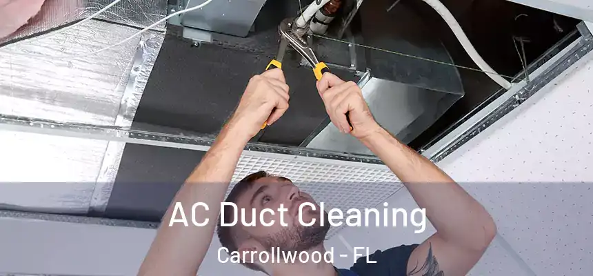  AC Duct Cleaning Carrollwood - FL