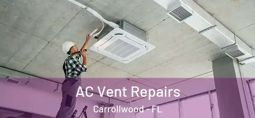 AC Vent Repairs Carrollwood - FL