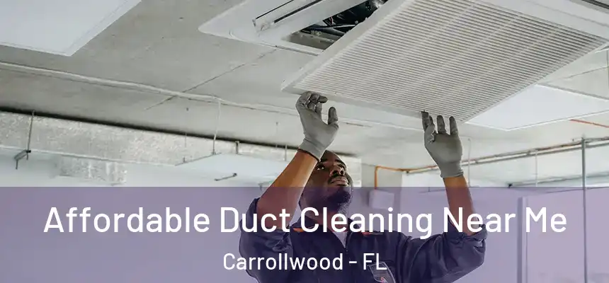  Affordable Duct Cleaning Near Me Carrollwood - FL