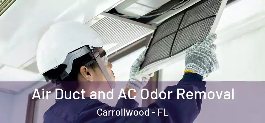  Air Duct and AC Odor Removal Carrollwood - FL