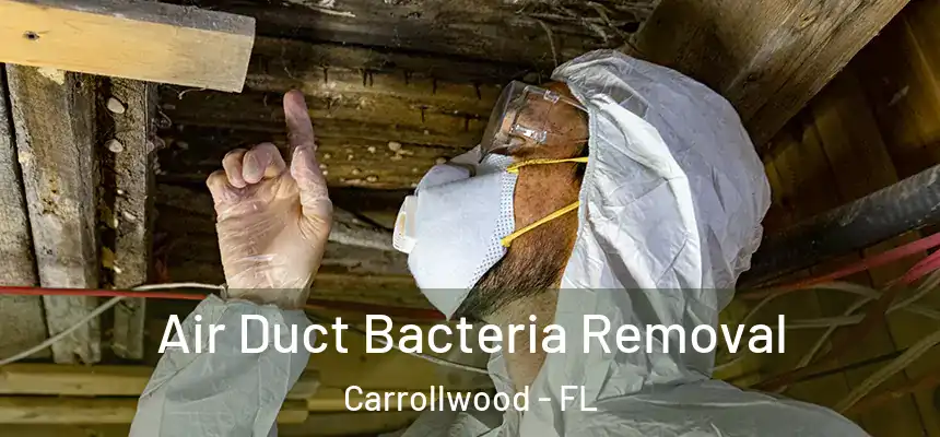 Air Duct Bacteria Removal Carrollwood - FL