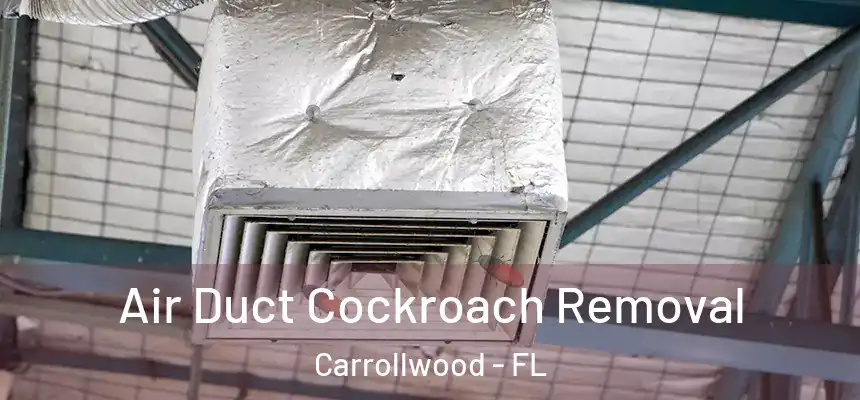 Air Duct Cockroach Removal Carrollwood - FL