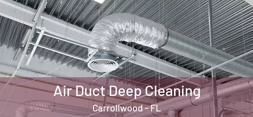Air Duct Deep Cleaning Carrollwood - FL