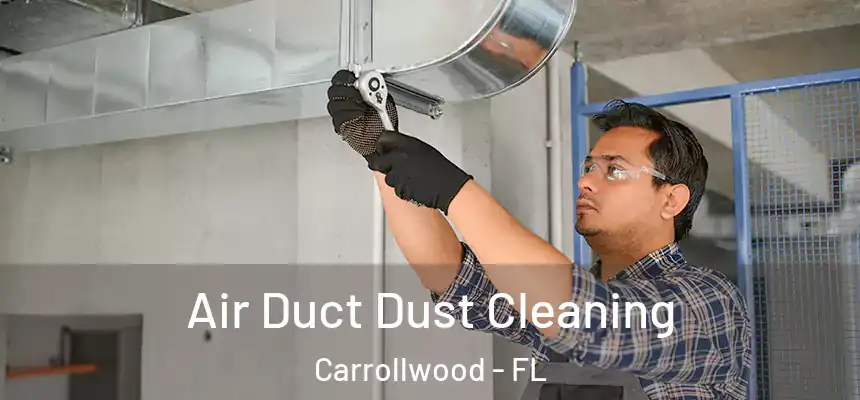  Air Duct Dust Cleaning Carrollwood - FL