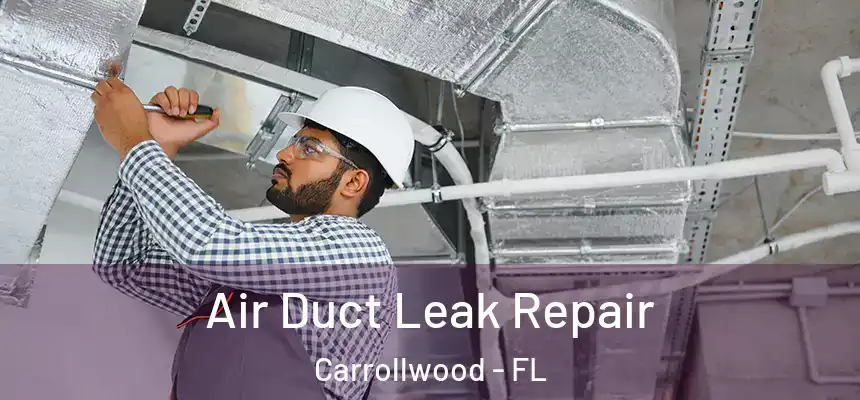 Air Duct Leak Repair Carrollwood - FL