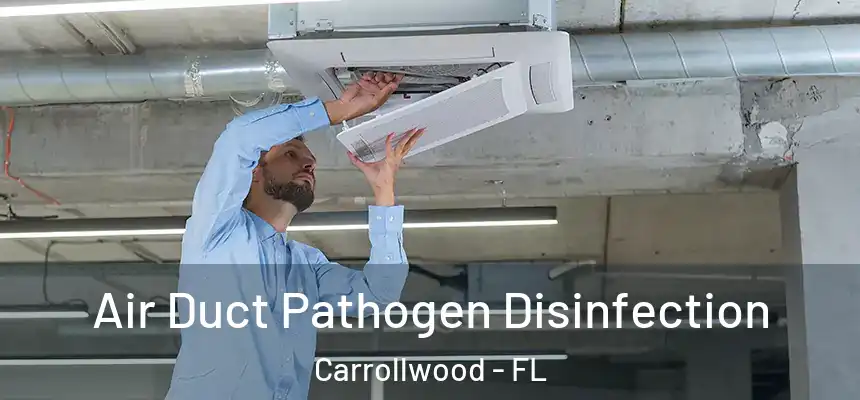  Air Duct Pathogen Disinfection Carrollwood - FL