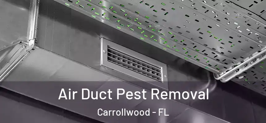  Air Duct Pest Removal Carrollwood - FL