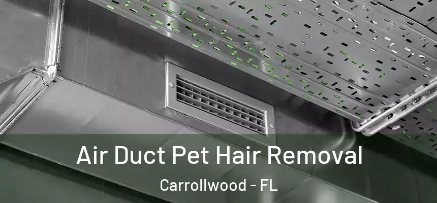 Air Duct Pet Hair Removal Carrollwood - FL