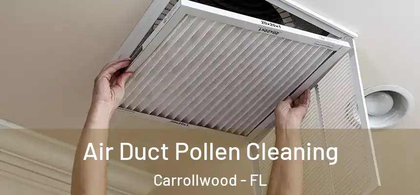 Air Duct Pollen Cleaning Carrollwood - FL