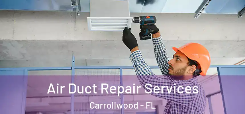 Air Duct Repair Services Carrollwood - FL