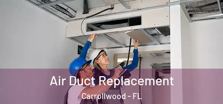  Air Duct Replacement Carrollwood - FL