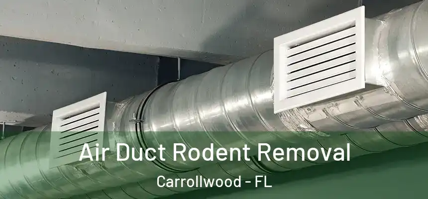 Air Duct Rodent Removal Carrollwood - FL