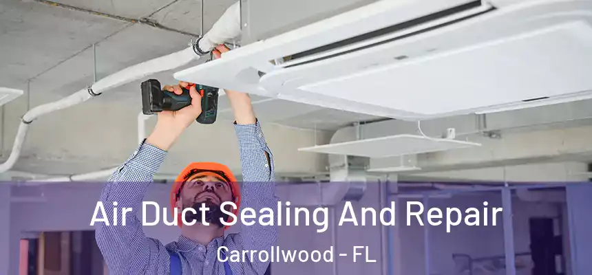 Air Duct Sealing And Repair Carrollwood - FL