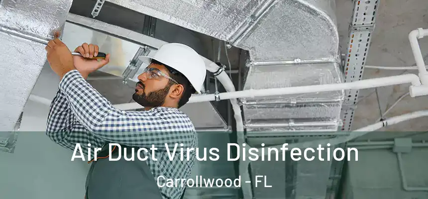 Air Duct Virus Disinfection Carrollwood - FL