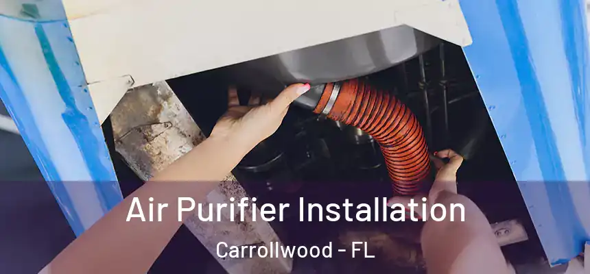 Air Purifier Installation Carrollwood - FL