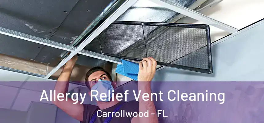  Allergy Relief Vent Cleaning Carrollwood - FL