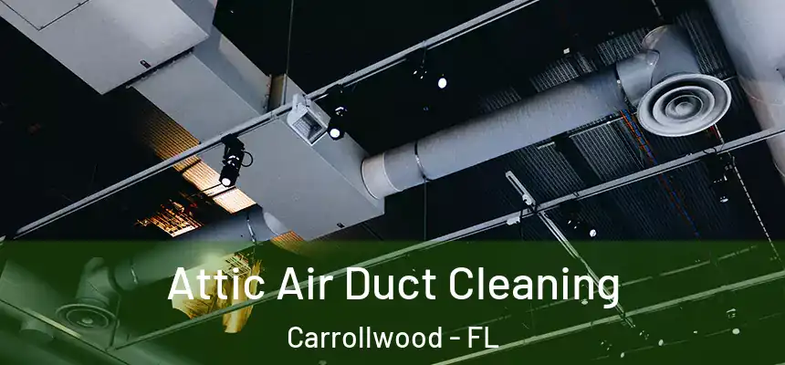 Attic Air Duct Cleaning Carrollwood - FL