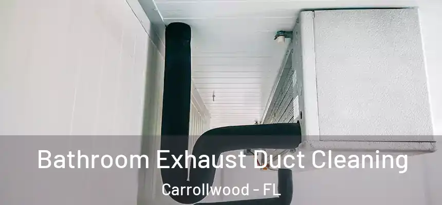 Bathroom Exhaust Duct Cleaning Carrollwood - FL