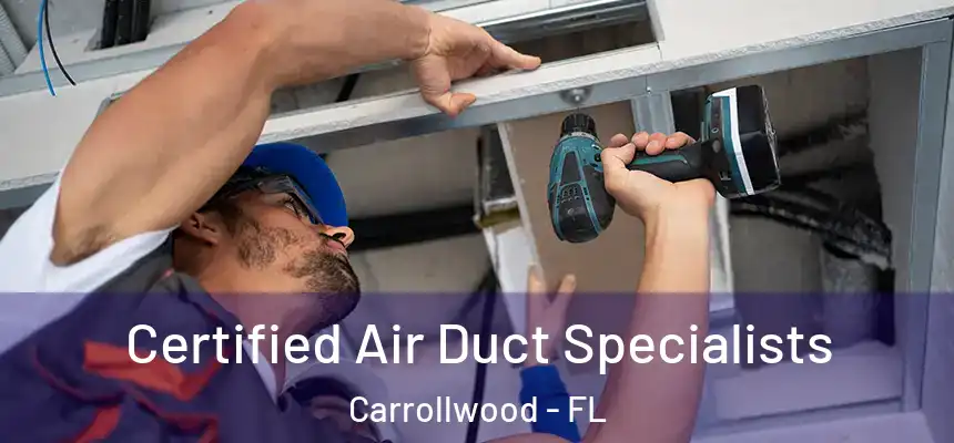 Certified Air Duct Specialists Carrollwood - FL