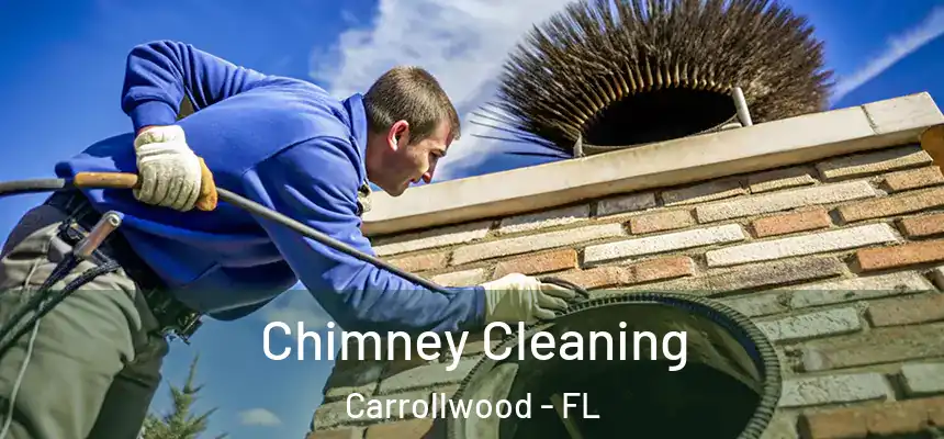 Chimney Cleaning Carrollwood - FL