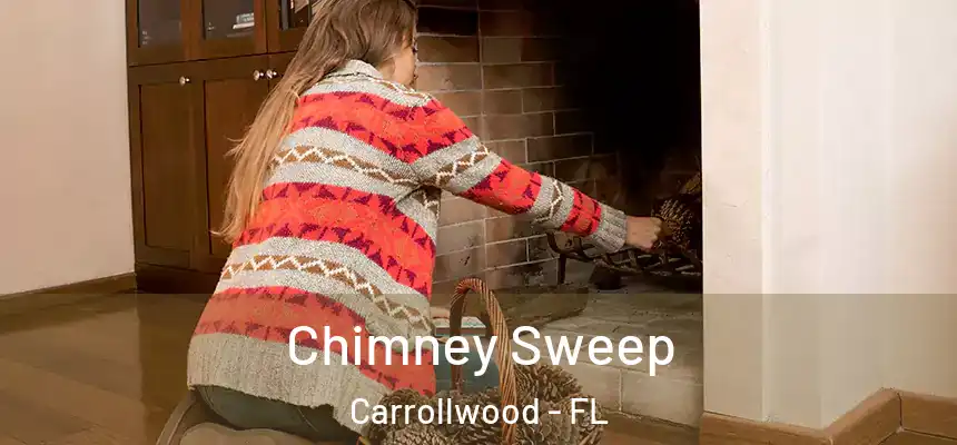  Chimney Sweep Carrollwood - FL