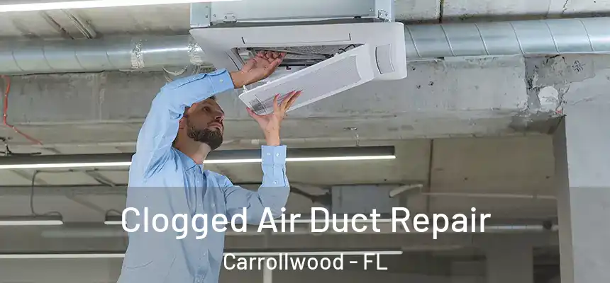 Clogged Air Duct Repair Carrollwood - FL