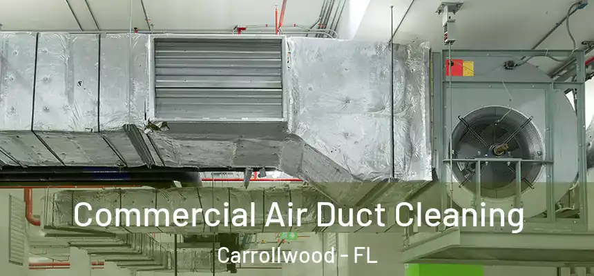 Commercial Air Duct Cleaning Carrollwood - FL