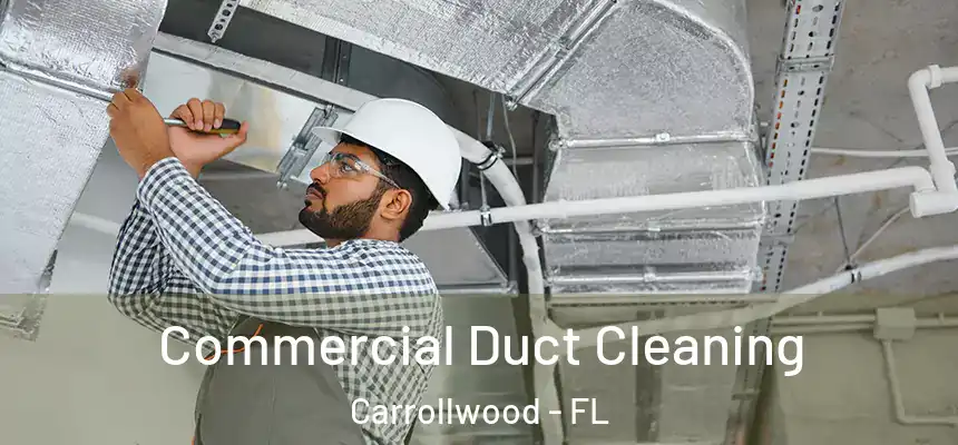 Commercial Duct Cleaning Carrollwood - FL