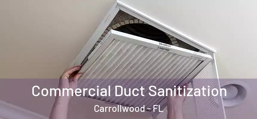  Commercial Duct Sanitization Carrollwood - FL