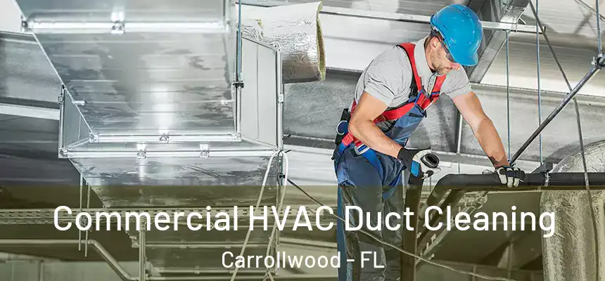 Commercial HVAC Duct Cleaning Carrollwood - FL