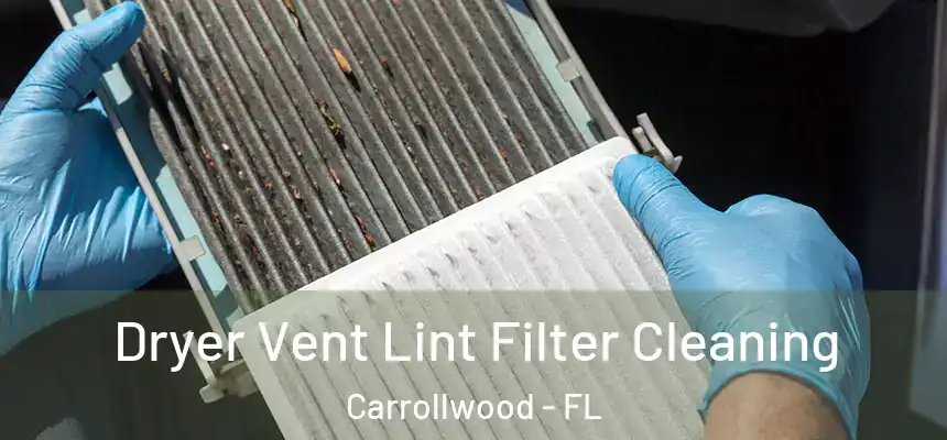 Dryer Vent Lint Filter Cleaning Carrollwood - FL