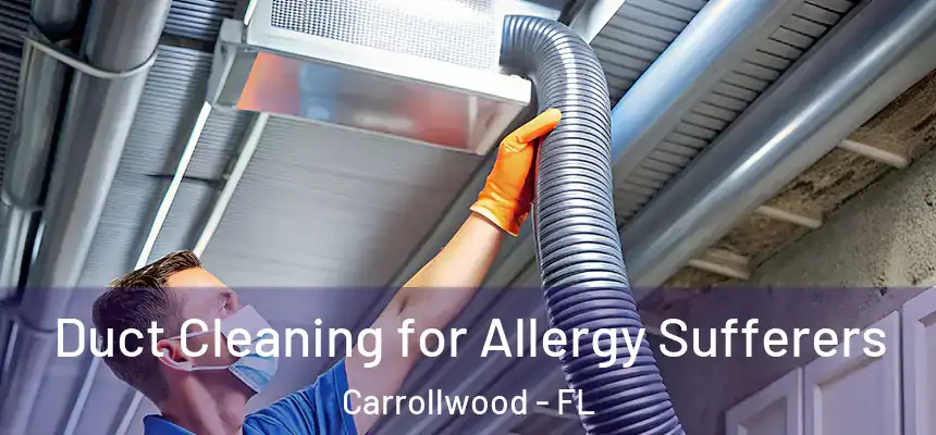 Duct Cleaning for Allergy Sufferers Carrollwood - FL