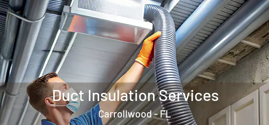  Duct Insulation Services Carrollwood - FL