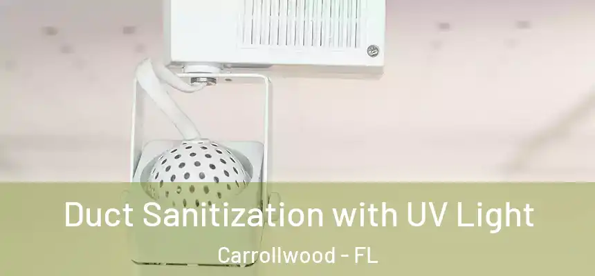 Duct Sanitization with UV Light Carrollwood - FL