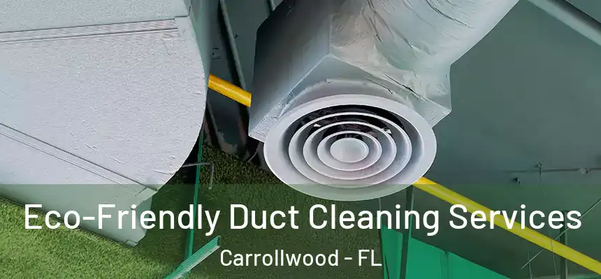 Eco-Friendly Duct Cleaning Services Carrollwood - FL