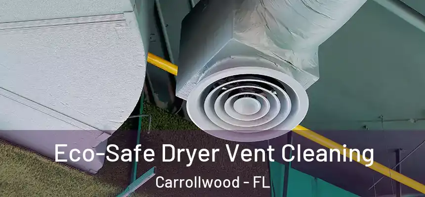 Eco-Safe Dryer Vent Cleaning Carrollwood - FL