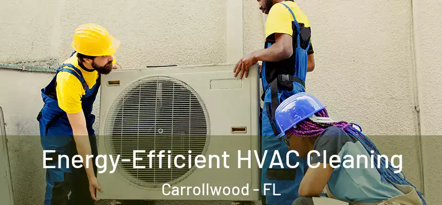 Energy-Efficient HVAC Cleaning Carrollwood - FL