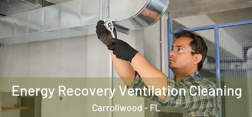 Energy Recovery Ventilation Cleaning Carrollwood - FL