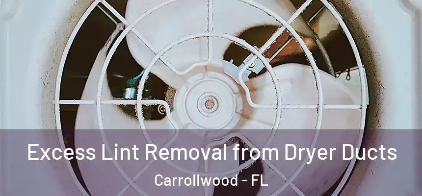  Excess Lint Removal from Dryer Ducts Carrollwood - FL