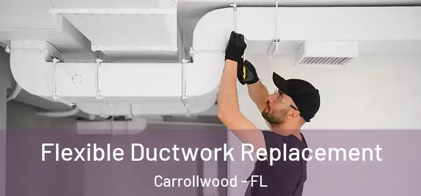 Flexible Ductwork Replacement Carrollwood - FL