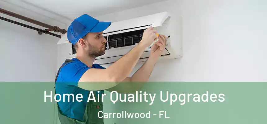  Home Air Quality Upgrades Carrollwood - FL
