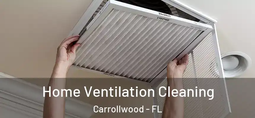 Home Ventilation Cleaning Carrollwood - FL