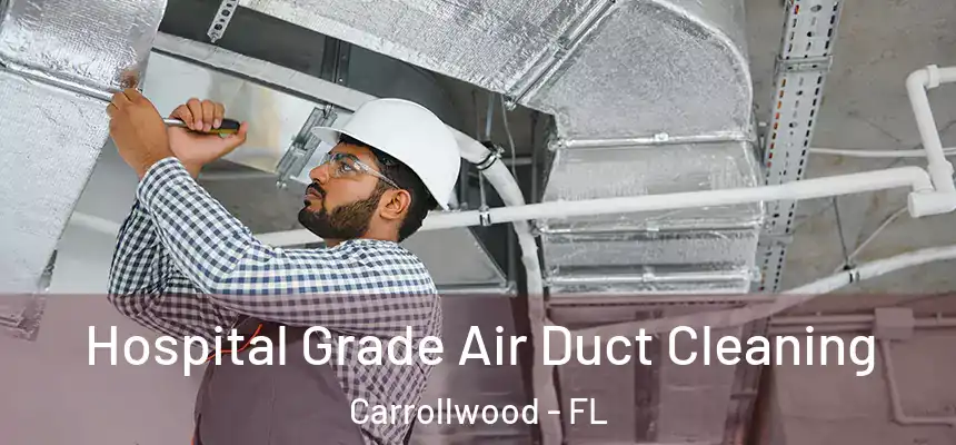 Hospital Grade Air Duct Cleaning Carrollwood - FL
