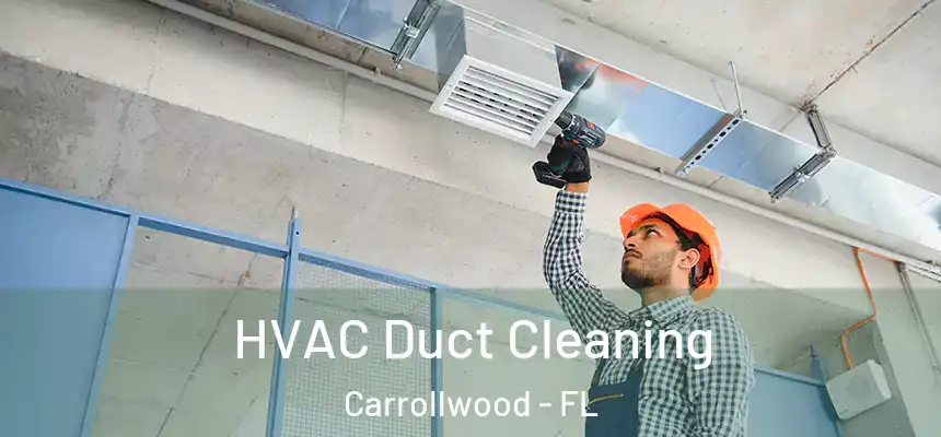 HVAC Duct Cleaning Carrollwood - FL