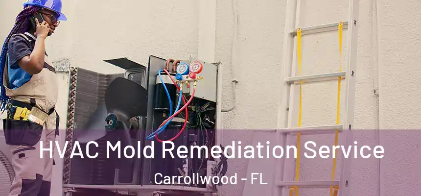 HVAC Mold Remediation Service Carrollwood - FL
