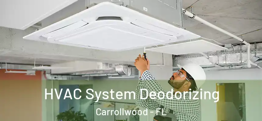 HVAC System Deodorizing Carrollwood - FL