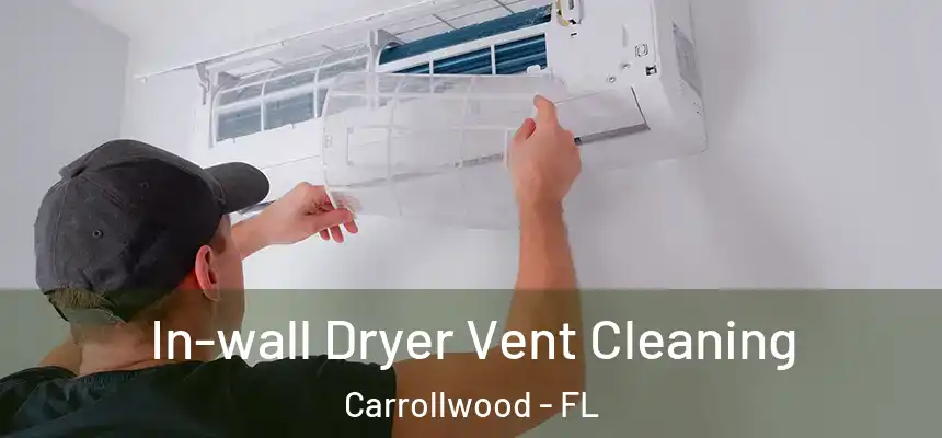 In-wall Dryer Vent Cleaning Carrollwood - FL