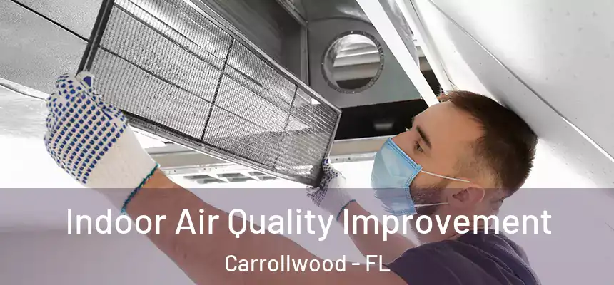  Indoor Air Quality Improvement Carrollwood - FL