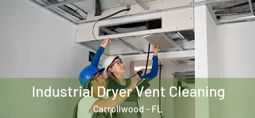 Industrial Dryer Vent Cleaning Carrollwood - FL
